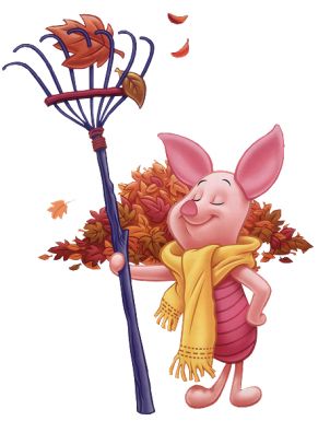 winnie-18787898.jpg