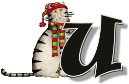 winterkittyU.png