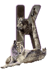 wolf-65656565-11.gif