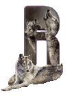 wolf-65656565-18.gif