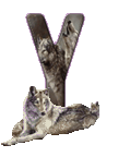 wolf-65656565-25.gif