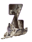 wolf-65656565-26.gif
