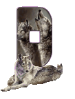 wolf-65656565-4.gif