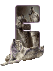 wolf-65656565-5.gif