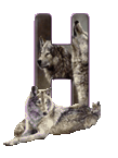 wolf-65656565-8.gif