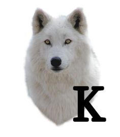 wolf-6654343434-11.jpg