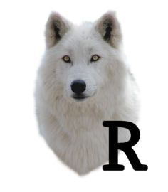wolf-6654343434-18.jpg