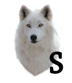 wolf-6654343434-19.jpg