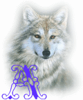 wolf-alpha-1-A.gif