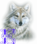 wolf-alpha-1-E.gif