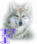 wolf-alpha-1-F.gif