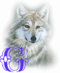 wolf-alpha-1-G.gif