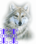 wolf-alpha-1-H.gif