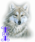 wolf-alpha-1-I.gif