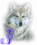 wolf-alpha-1-J.gif