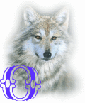 wolf-alpha-1-O.gif