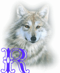 wolf-alpha-1-R.gif