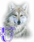 wolf-alpha-1-U.gif