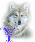 wolf-alpha-1-Y.gif