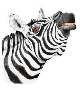zebre-19.jpg