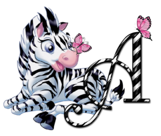 zebre-9090-1.png