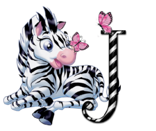 zebre-9090-10.png