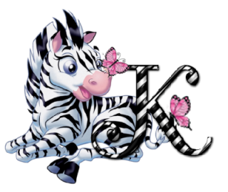 zebre-9090-11.png