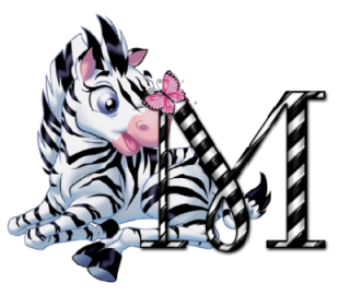 zebre-9090-13.png
