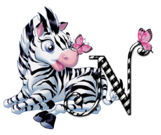 zebre-9090-14.png