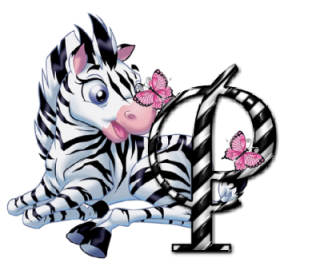 zebre-9090-16.png