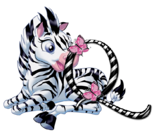 zebre-9090-17.png