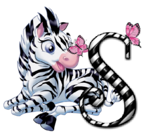 zebre-9090-19.png