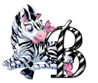 zebre-9090-2.png