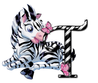 zebre-9090-20.png