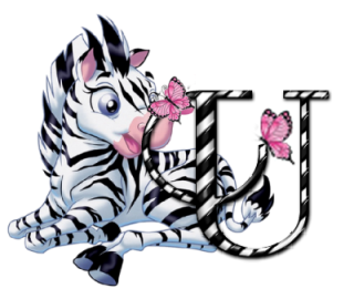zebre-9090-21.png