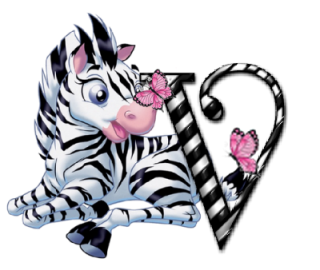 zebre-9090-22.png