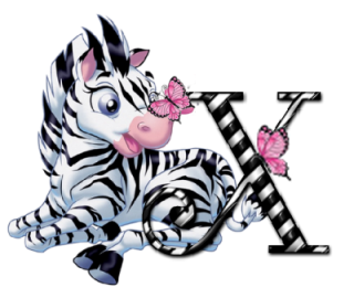 zebre-9090-24.png
