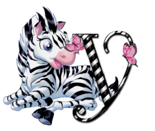 zebre-9090-25.png
