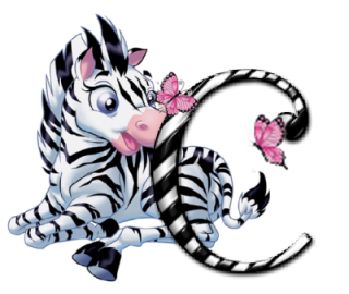 zebre-9090-3.png