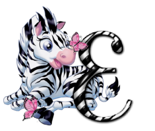 zebre-9090-5.png