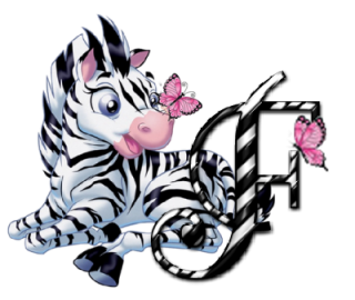 zebre-9090-6.png