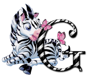zebre-9090-7.png