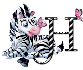 zebre-9090-8.png