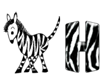 zebre473463463463-8.gif