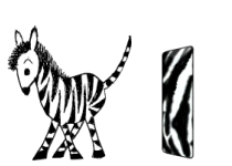 zebre473463463463-9.gif