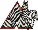 zebre9434330-1.jpg