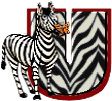 zebre9434330-21.jpg
