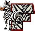 zebre9434330-6.jpg