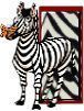 zebre9434330-9.jpg