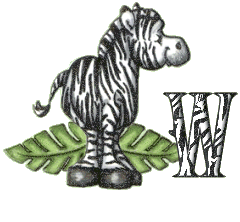 zebre9548565865-23.gif